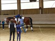 voltitag 2009 _CD1 059